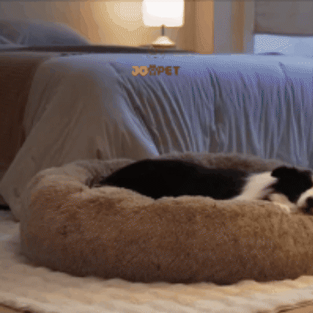 Colchón Antiestrés + Alfombra de Regalo