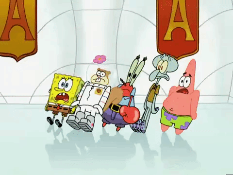 season 5 GIF by SpongeBob SquarePants