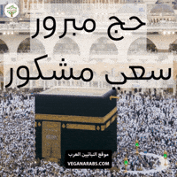 Eid Allah GIF by VeganArabs