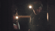Mazarin1k agraelus dvere flygun GIF