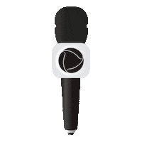 Mic Sticker by Record TV RS