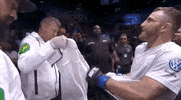 ufc sports sport ufc mma GIF