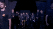 ufc sports sport ufc mma GIF