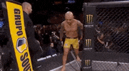 ufc sports sport ufc mma GIF