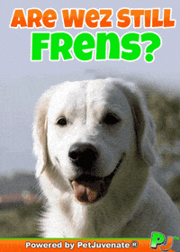 PetJuvenate petjuvenate henlo hooman fren love rescue dogs treatos and woofer for pupper GIF