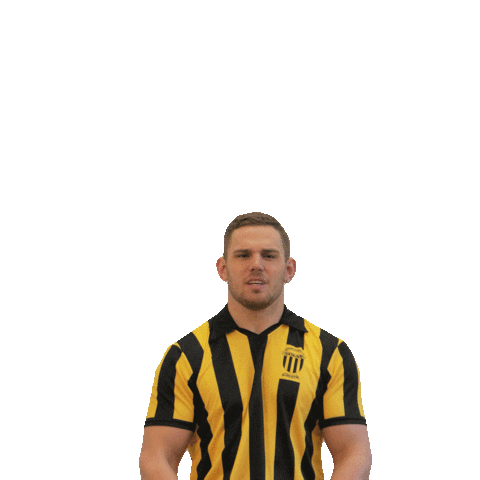 Bscyb Remokaeser Sticker by BSC Young Boys