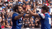 high five france GIF by Guinness Six Nations