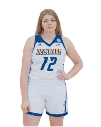 Basketball No Sticker by Delaware Blue Hens