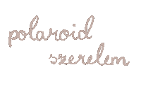 Polaroid Sticker