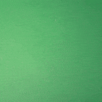 Stop Motion Firecrackers GIF by Evan Hilton