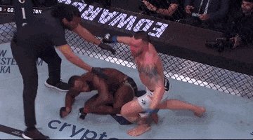 Mixed Martial Arts Sport GIF by UFC