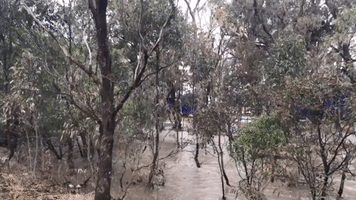 Trucks Drive Over Flooded Highway at Euroa