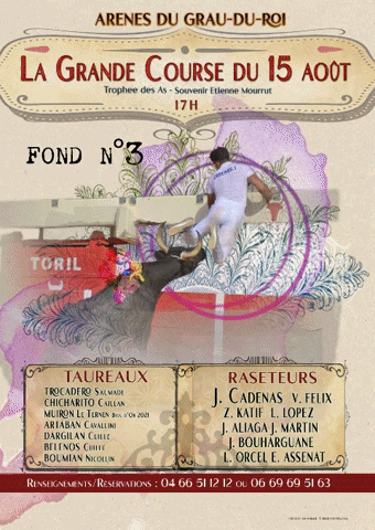 julienservy-7e63 giphygifmaker courses cadenas camargue GIF