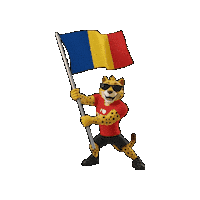 Romania Sticker by Padbol official