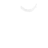 New Post Wings Sticker by Walls of Stories
