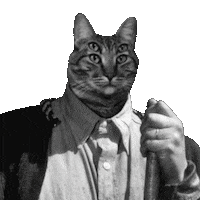 Black Cat Art Sticker