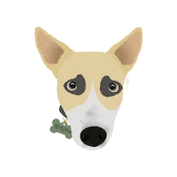 Dog Asi Sticker