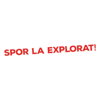 Beer Sticker by URSUS ROMANIA