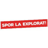 Beer Sticker by URSUS ROMANIA