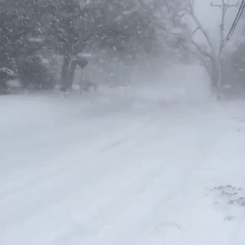 Cape Cod Hit with a Blizzard