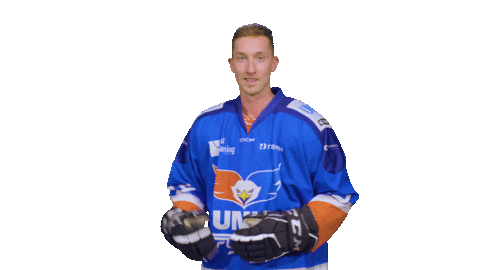 Goal Eagles Sticker by UNIS Flyers