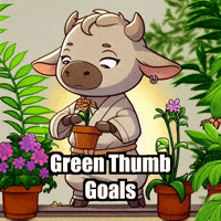 Plants Trending Topics GIF by Masterfurdinand