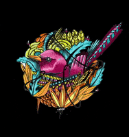 mundoletop bird colorful nest colibri GIF