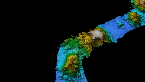 tasman sea exploration GIF