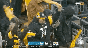 Pittsburgh Steelers Football GIF by NFL
