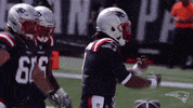 Celebrate Black Panther GIF by New England Patriots