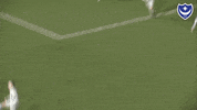 Celebration Curtis GIF by Portsmouth Football Club