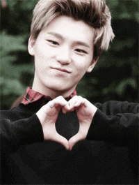 seventeen GIF