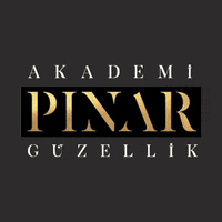 pinarakademi  GIF