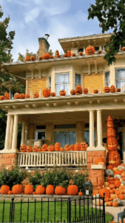 NeverFreakinMind giphygifmaker GIF