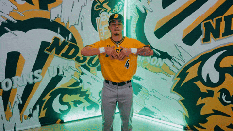 Baseball Bison GIF by NDSU Athletics