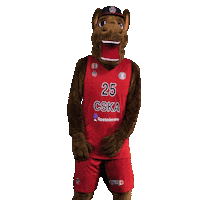 Happy Sport Sticker by CSKA Moscow