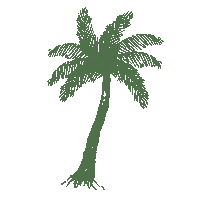 Palm Tree Vacation Sticker by Ashley Rose Clothing
