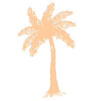 Palm Tree Vacation Sticker by Ashley Rose Clothing