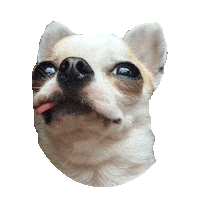gue STICKER by imoji