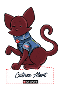Cat Denim Sticker by Toy Doggie