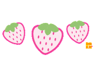 Dunkin Donuts Summer Sticker by Dunkin’