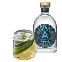 Mixed Drink Cocktail Sticker by Astral Tequila