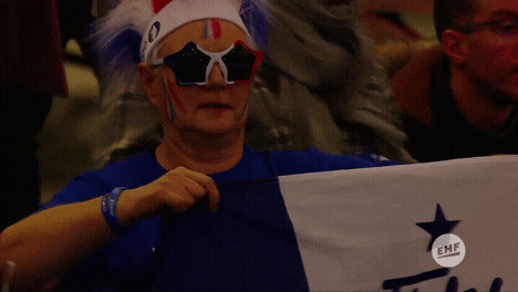 france fan GIF by EHF