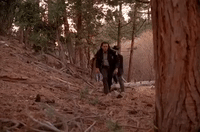 season 1 episode 6 GIF by Twin Peaks on Showtime