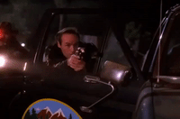 season 2 episode 13 GIF by Twin Peaks on Showtime