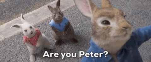 Sony GIF by Peter Rabbit Movie