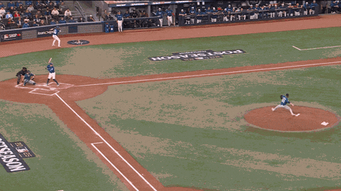 Home Run Canada GIF by Toronto Blue Jays