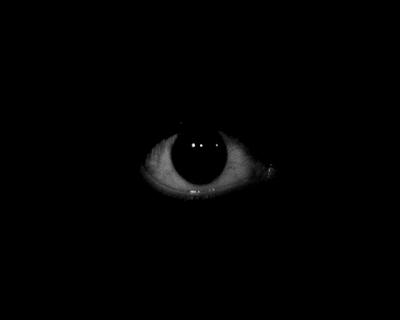 Video gif. A darting white eye rests in a solid black background as its black pupil searches around the darkness.