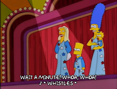 bart simpson episode 24 GIF