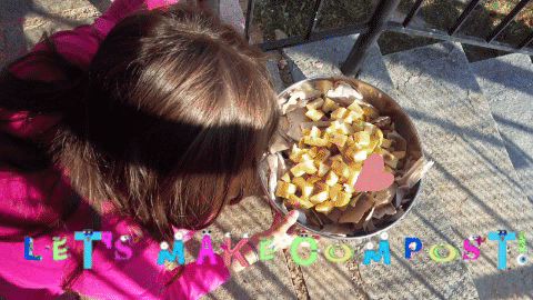 evdoxsap giphygifmaker giphyattribution compost composting GIF